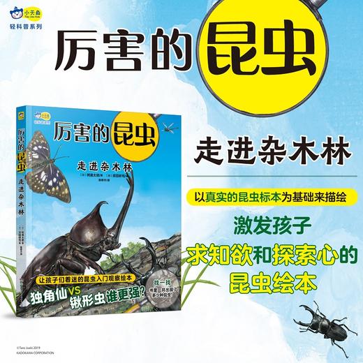 厉害的昆虫（精装2册套装） 以真实的昆虫标本为基础，清晰展现各种昆虫的样貌，带孩子感受身临其境的昆虫世界 小天角 商品图2