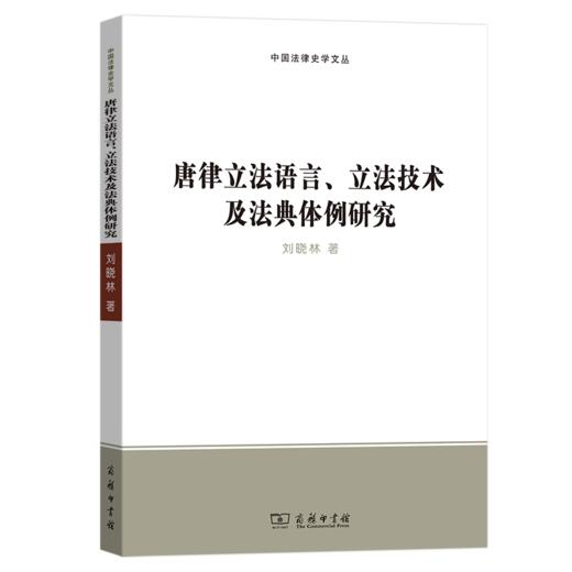 唐律立法语言、立法技术及法典体例研究（中国法律史学文丛） 商品图0