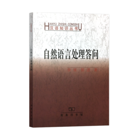 自然语言处理答问（汉语知识丛书）