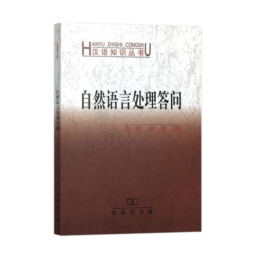 自然语言处理答问（汉语知识丛书） 商品图0
