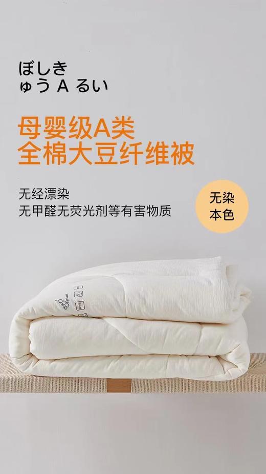 学生大豆纤维冬被 商品图0