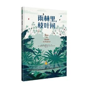 雨林里 枝叶间 3-6岁 凯特·梅斯纳 著 儿童绘本