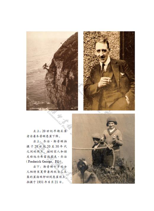 剥开鸟蛋的秘密（自然文库） 商品图2