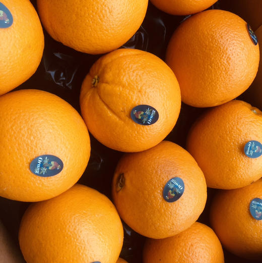 进口皇冠橙，个头超大，晚期脐橙，嫩甜多汁性价比超高的橙子，单果400g左右15只/箱 商品图1