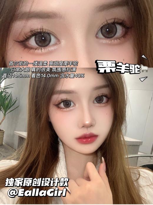 EallaGirl 年抛 栗羊驼 直径14.5mm着色14.0mm 商品图6