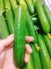 水果青瓜500g 商品缩略图0
