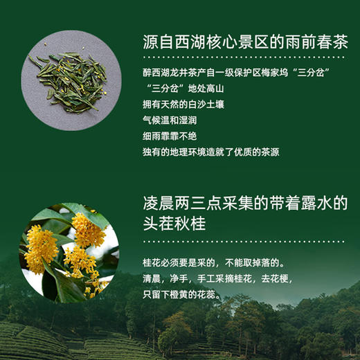 杭州特产桂花雨前龙井桂花红茶·醉西湖 商品图6
