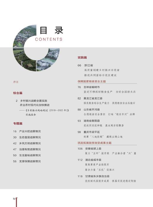 乡材振兴战略规划实施报告【中国农业出版社官方正版】 商品图1