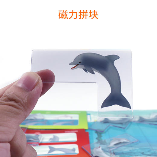 T SmartGame   SGT 310       海豚捉迷藏 （旅行系列） 商品图2