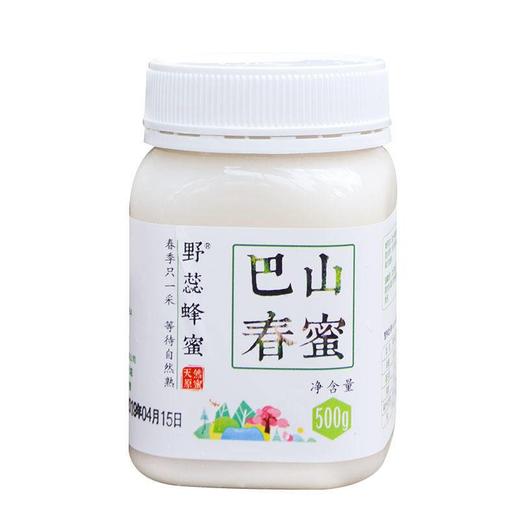 通江县野蕊巴山春蜜500g 商品图0