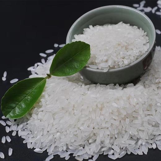 TD 【2025五常稻花香新大米上市】 五常产地直供 3包套餐（5Kg*3）稻花香2号  如遇快递暴力运输导致内包装漏气不影响食用 不在售后范围内 介意慎拍！ 商品图4