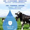 善尔牛初乳粉免疫球蛋白 免疫力美国进口1.5g*30袋/盒 商品缩略图3