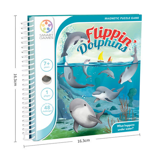 T SmartGame   SGT 310       海豚捉迷藏 （旅行系列） 商品图3