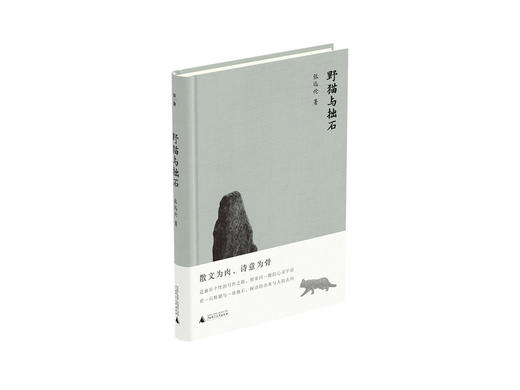 【“云端书展”专区】野猫与拙石     张远伦/著   买一得三 商品图0
