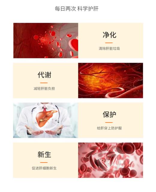 【麦金利】绞股蓝丹参葛根胶囊   四重营养  协同作用   科学护肝   ”肝“劲十足   健康满分 商品图3