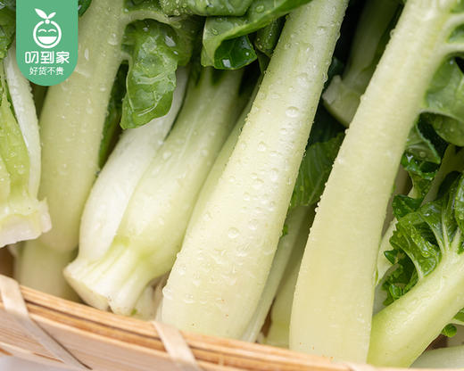 【叼鲜蔬】有机新鲜奶白菜/1份（约250g） 商品图3