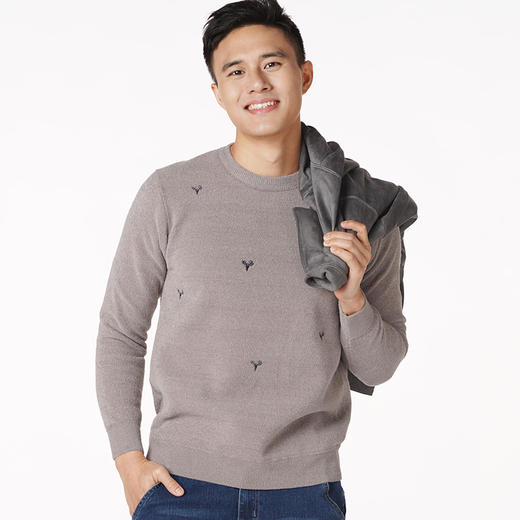 都市丽人都市锋尚超级暖负15度以下男士加厚单件仿毛衫加厚单件上衣保暖衣FW26C1 商品图0