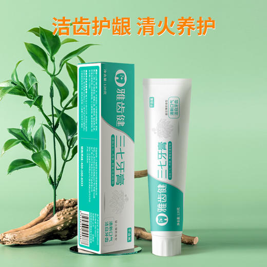 银发无忧 雅齿健三七牙膏 120g/支 植物提取 温润护齿 商品图1