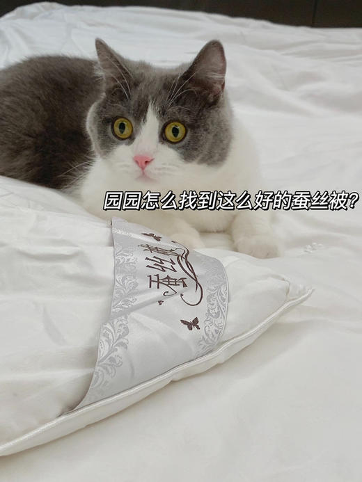 园园亲选南通家居顶柔品牌100*%蚕丝被，冬暖夏凉轻盈不压身亲肤细腻柔 商品图0