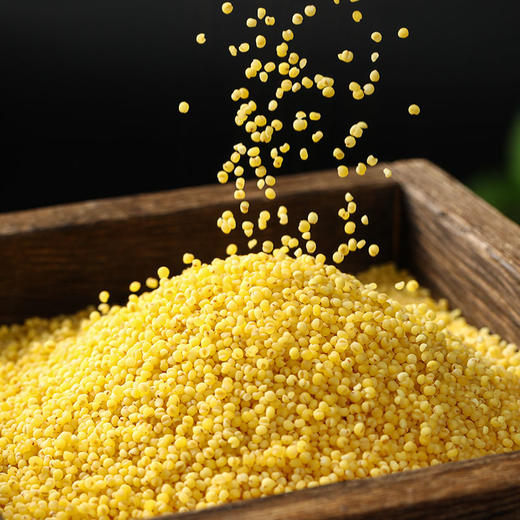 燕之坊黄金苗黄小米475g/袋*3 商品图0