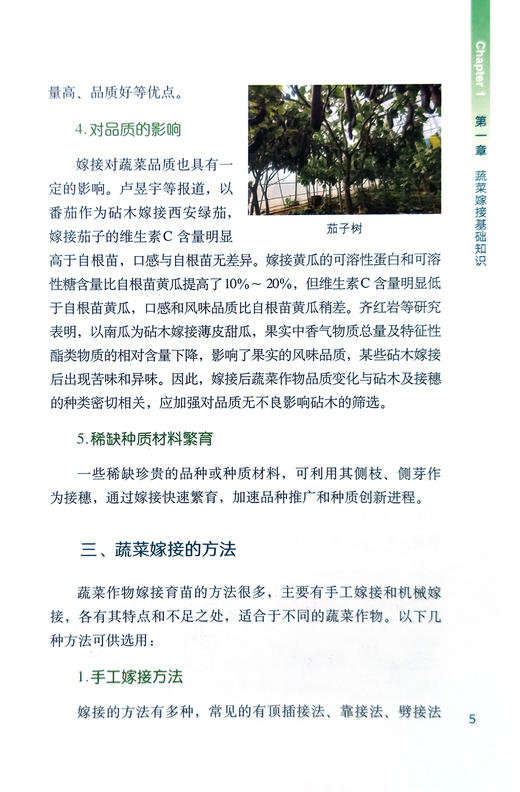 图解蔬菜嫁接育苗技术【中国农业出版社官方正版】 蔬菜种植 管理 栽培 温室 乜兰春 专业园艺师的不败指南 农业出版社书籍 商品图5