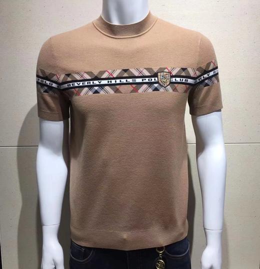 6F BEVERLY HILLS POLO CLUB 比华利保罗针织衫10.11 商品图0