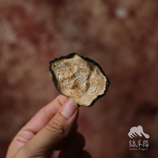 生态节瓜干 | 绿家自产 * Eco-Zucchini Dry | Self-production 商品图1