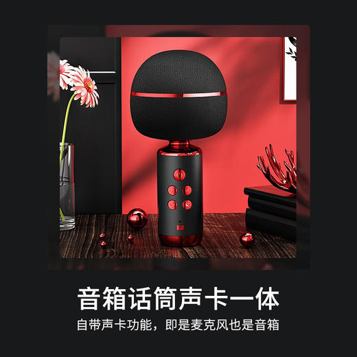 魔声 M98 麦克风 商品图2