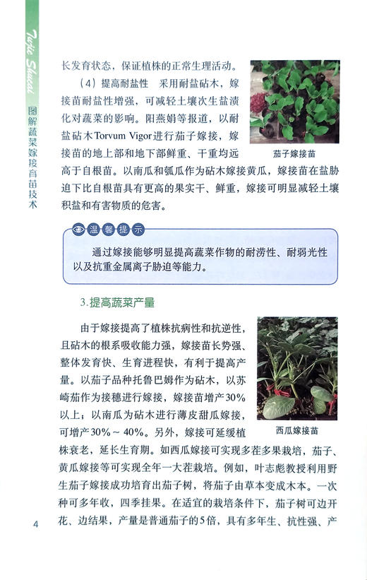 图解蔬菜嫁接育苗技术【中国农业出版社官方正版】 蔬菜种植 管理 栽培 温室 乜兰春 专业园艺师的不败指南 农业出版社书籍 商品图4