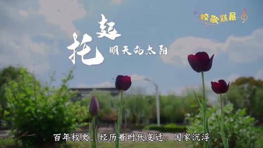 百年太高 商品图0