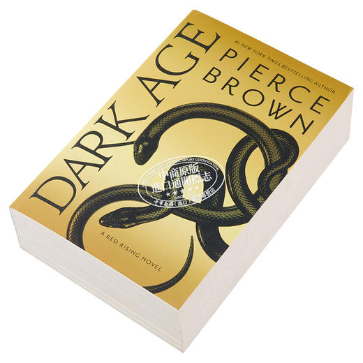 【中商原版】皮尔斯布朗：黑暗时代（火星崛起5） 英文原版 Dark Age Pierce Brown 商品图2