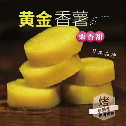 小汤山黄金蜜薯5斤装 商品图1