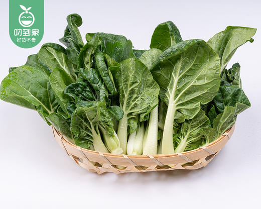 【叼鲜蔬】有机新鲜奶白菜/1份（约250g） 商品图2