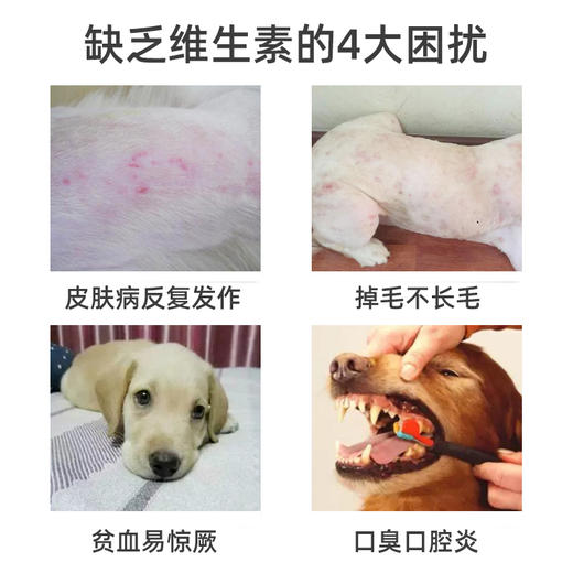 Reddog红狗复合维生素B族溶液50ml 猫狗防脱掉毛美毛缓解皮肤问题 商品图2