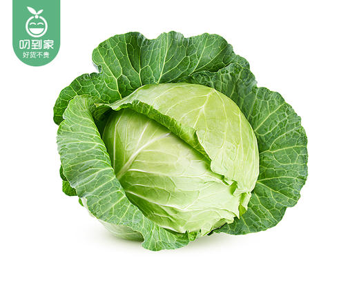 【叼鲜蔬】有机新鲜水果甘蓝/1份（约500g） 商品图1