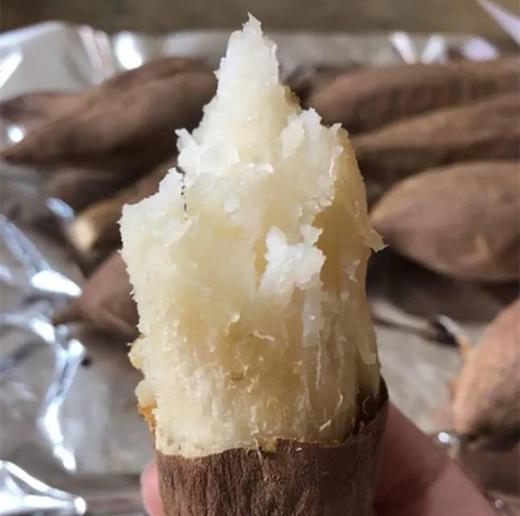 白蜜薯哈蜜冰糖心薯新鲜奶油地瓜红薯5斤【12根左右】 中通包邮 商品图4