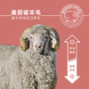 赛乐 200型羊毛 97%羊毛 抑菌保暖排汗 功能内衣 商品缩略图2