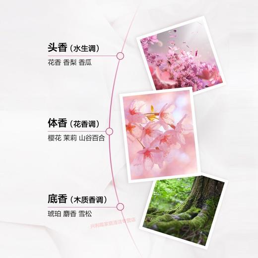 菁华四色樱花洗衣凝珠60粒 商品图4