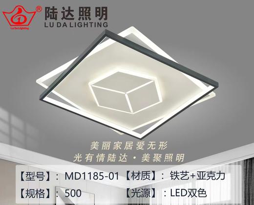 陆达 MD1185-01 商品图0