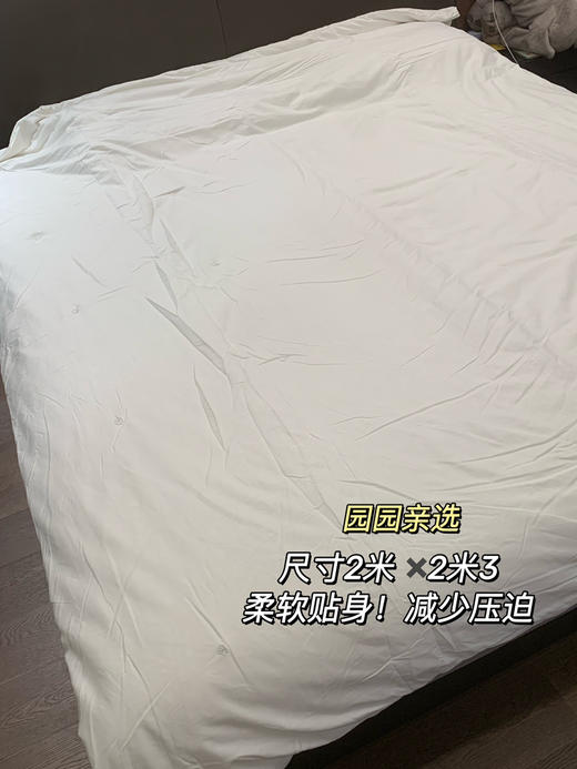 园园亲选南通家居顶柔品牌100*%蚕丝被，冬暖夏凉轻盈不压身亲肤细腻柔 商品图3