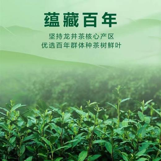 【2025年新茶！下单立即发货】悠谷春 春贡明前特级龙井 狮峰珍品 150g/盒 礼盒装（天猫同款） 商品图3