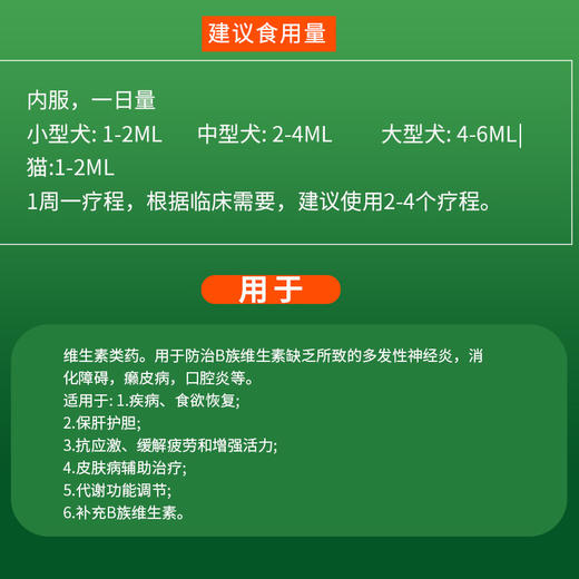 布维林维生素b口服液猫咪狗狗口炎猫癣神经炎皮肤病复合维生素B 商品图1