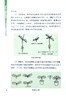 图解蔬菜嫁接育苗技术【中国农业出版社官方正版】 蔬菜种植 管理 栽培 温室 乜兰春 专业园艺师的不败指南 农业出版社书籍 商品缩略图6