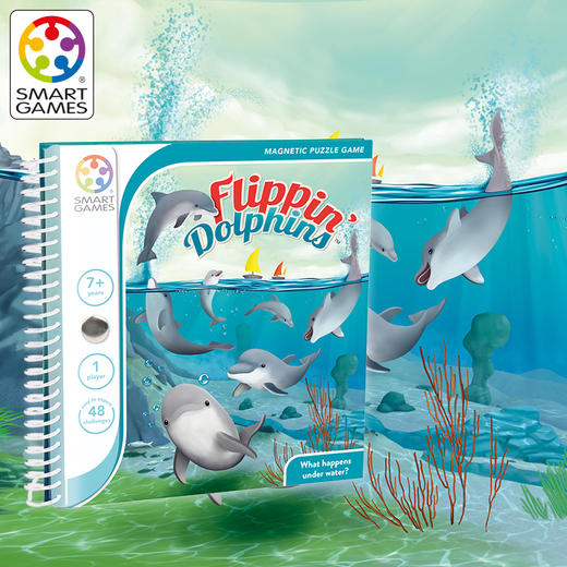 T SmartGame   SGT 310       海豚捉迷藏 （旅行系列） 商品图5