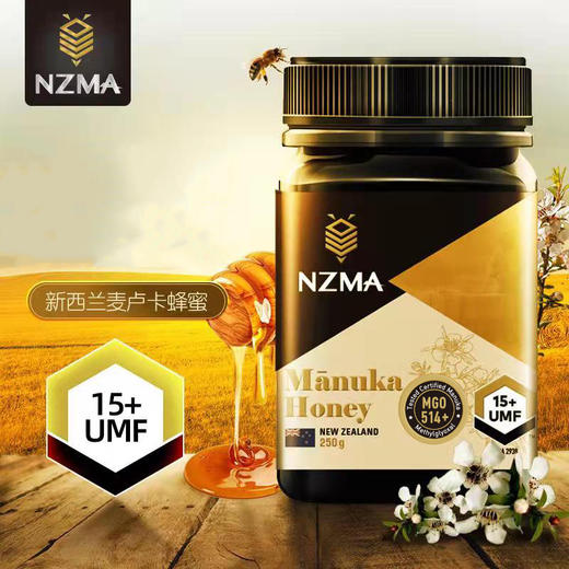 BF| NZMA麦卢卡蜂蜜MGO510+/UMF15+ 250g 商品图0