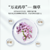 【延缓衰老 改善睡眠】蜂眠宁胶囊 蜂胎冻干粉 缬草 功能性食品，正规认证 出口欧美 商品缩略图6