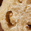生态丝瓜络（瓤）| 绿家自产 *Eco-towel-gourd sponge | Self-production 商品缩略图6