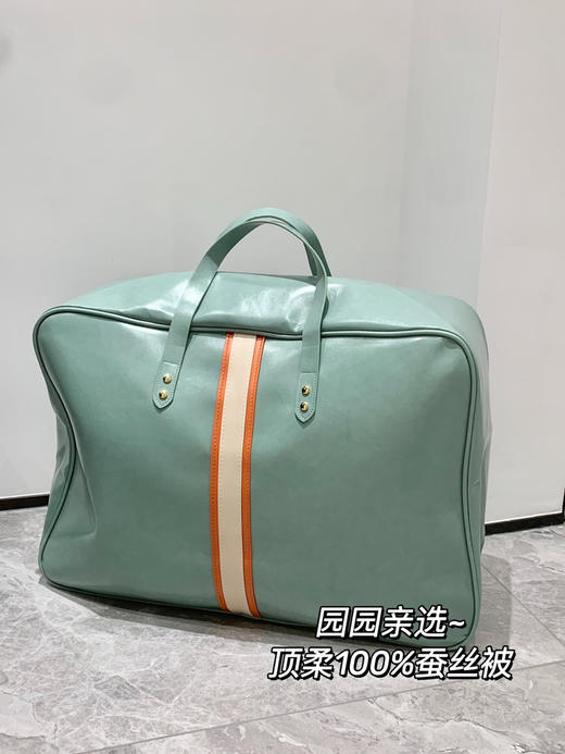 园园亲选南通家居顶柔品牌100*%蚕丝被，冬暖夏凉轻盈不压身亲肤细腻柔 商品图1