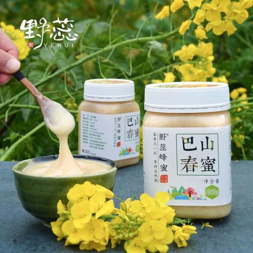 通江县野蕊巴山春蜜500g 商品图3