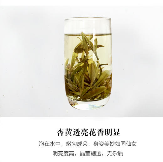 【明前头春 芽毫肥壮】天苗白茶 2022年 特级白牡丹 福鼎白茶 50g/罐（天猫同款） 商品图3